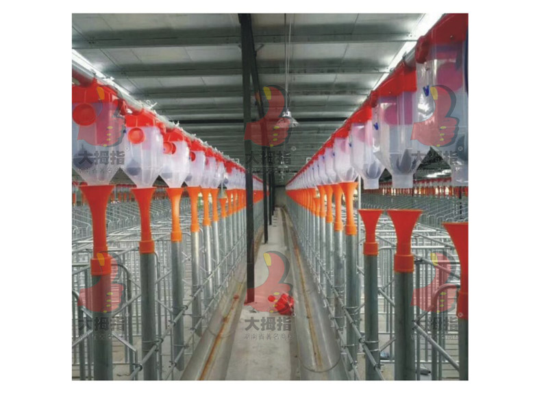 �i��(ch��ng)�Ԅ�(d��ng)�Ͼ��O(sh��)��