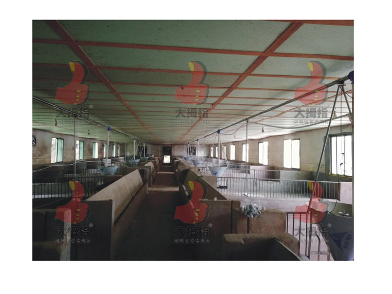 �i��(ch��ng)�Ԅ�(d��ng)�Ͼ��O(sh��)��