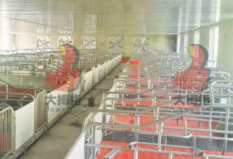 ��Ĵָ�����©�S��ĸ�i�a(ch��n)��,ĸ�i�a(ch��n)��,��Ĵָĸ�i�a(ch��n)��,��Ĵָ�B(y��ng)�i�O(sh��)��,��ʳ��,�L(zh��ng)ɳ�B(y��ng)�i�O(sh��)��,�i�˹��ھ�,�L(zh��ng)ɳ�B(y��ng)�i�O(sh��)�乫˾,�����i�˹��ھ�,�����i��(ch��ng)�O(sh��)��,���ϴ�Ĵָ�����C(j��)е�������޹�˾,�L(zh��ng)ɳ��Ĵָ�B(y��ng)�i�O(sh��)��S,�����L(zh��ng)ɳ�B(y��ng)�i��(ch��ng)��е