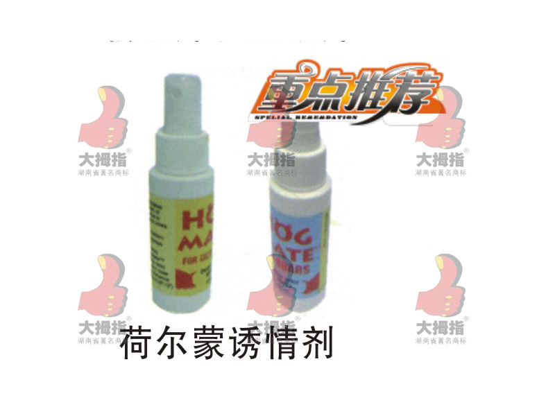 �i�ɠ����T�鄩